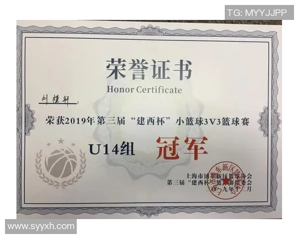 深圳篮球队防反策略分析及其对比赛结果的影响探讨